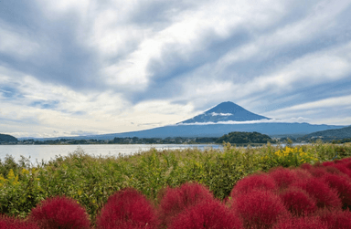 Japan